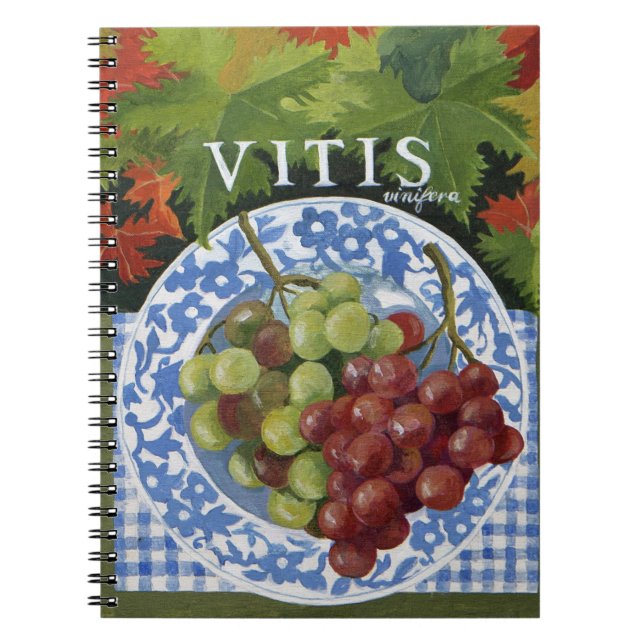 Vitus Notebook (Front)