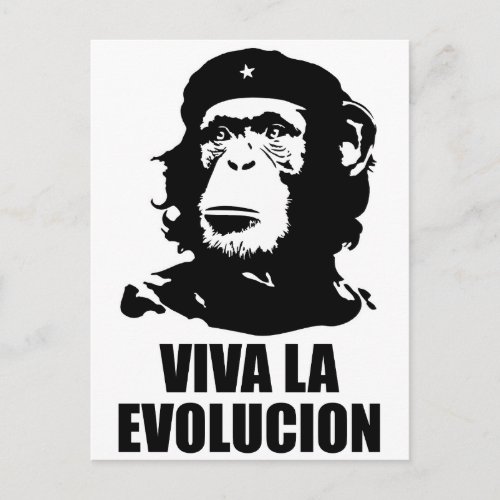 Viva la Evolucion Postcard
