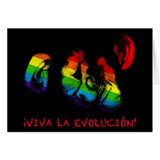 viva la evolucion! rainbow chimps cards (Front Horizontal)