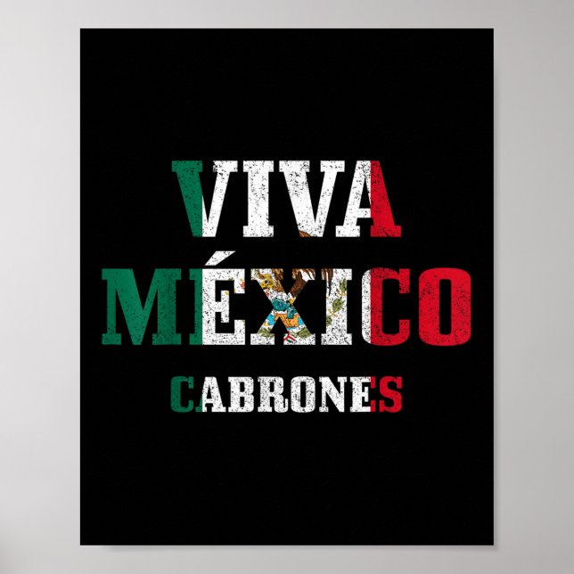 Viva Mexico Cabrones Funny Cinco De Mayo Mexican F Poster (Front)