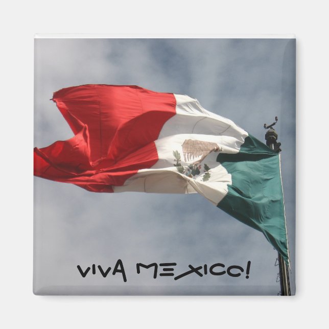 Viva Mexico! Magnet (Front)