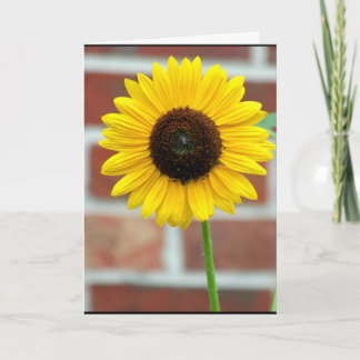 Vivian's Sunflower Card