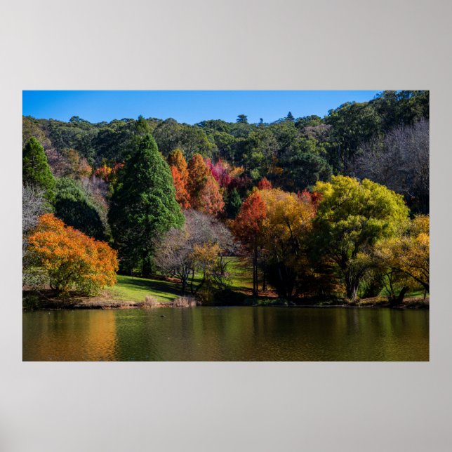 Vivid Autumn Colors Landscape Trees Poster (Front)