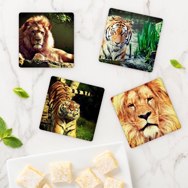Vivid Big Cat Portraits Coaster Set (In Situ)