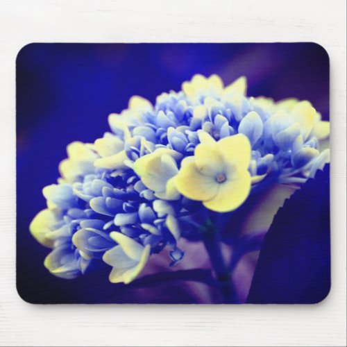 Vivid Blue Hydrangea Flower Mouse Pad