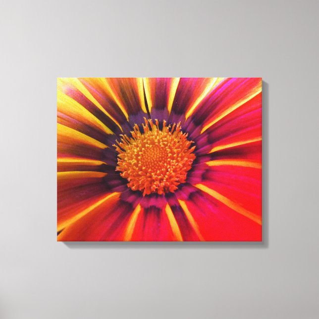 Vivid Color Gerber Daisy Canvas (Front)
