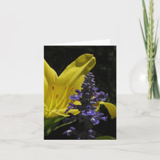 Vivid Daylily & Salvia Floral Note Card