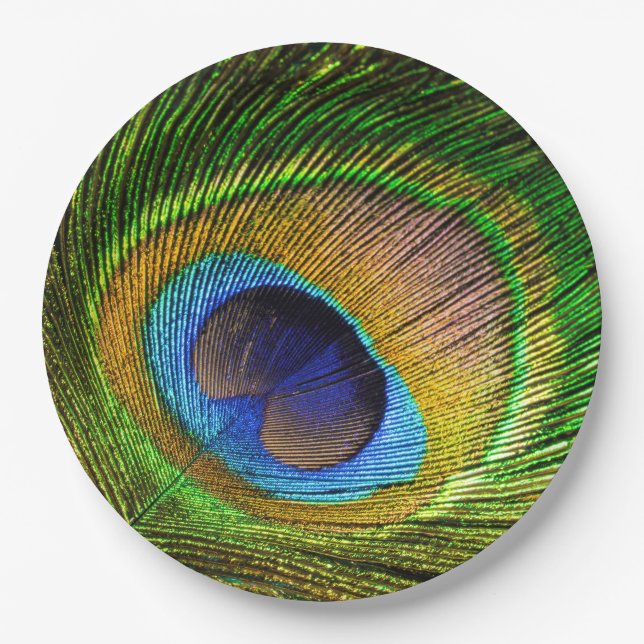 Vivid Feather Paper Plates (Front)