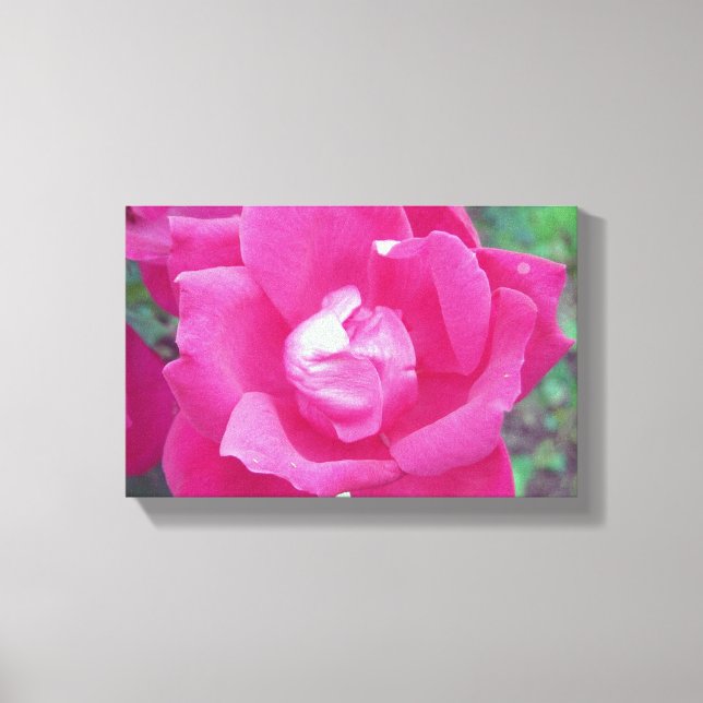 Vivid Hot Pink Rose Photo Stretched Canvas Art (Front)