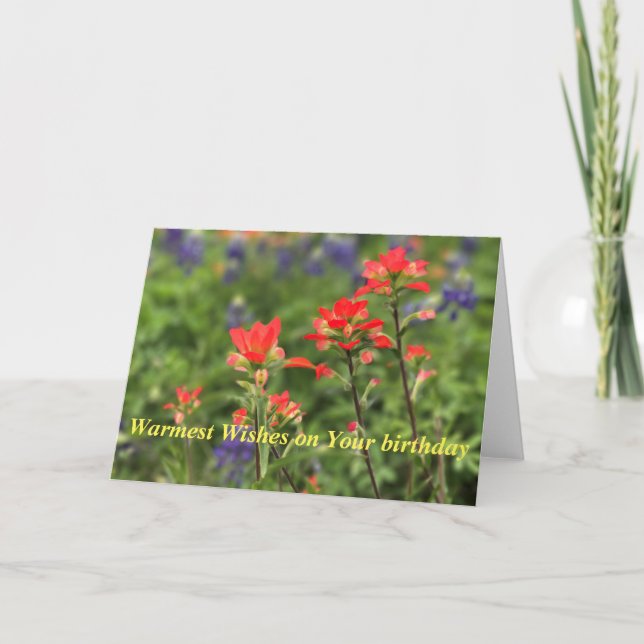 Vivid Indian Paintbrush Holiday Card (Front)