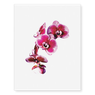 Vivid Maroon Phalaenopsis Orchids Temporary Tattoos