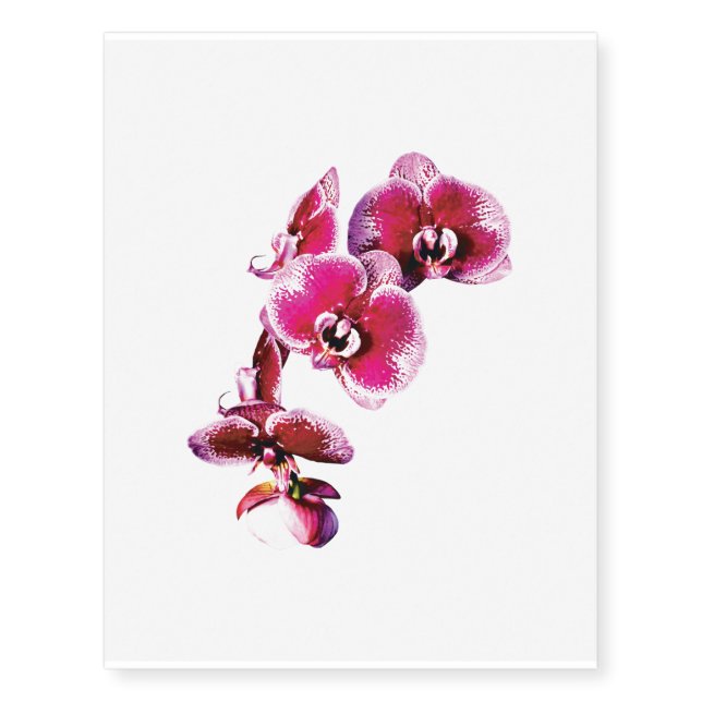 Vivid Maroon Phalaenopsis Orchids Temporary Tattoos (Front)