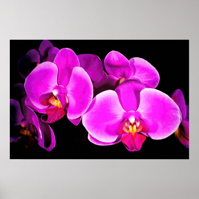 Vivid Orchid Poster (Front)