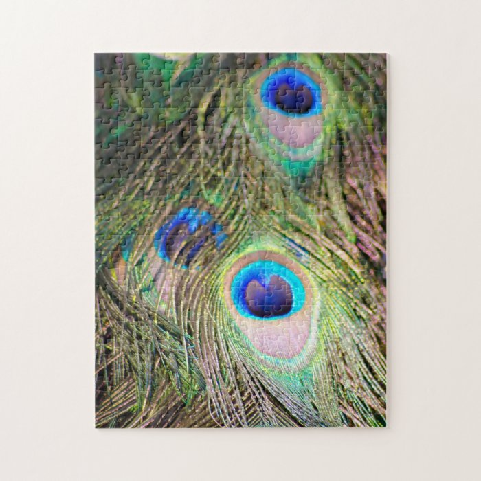 Vivid Peacock Feather Puzzle