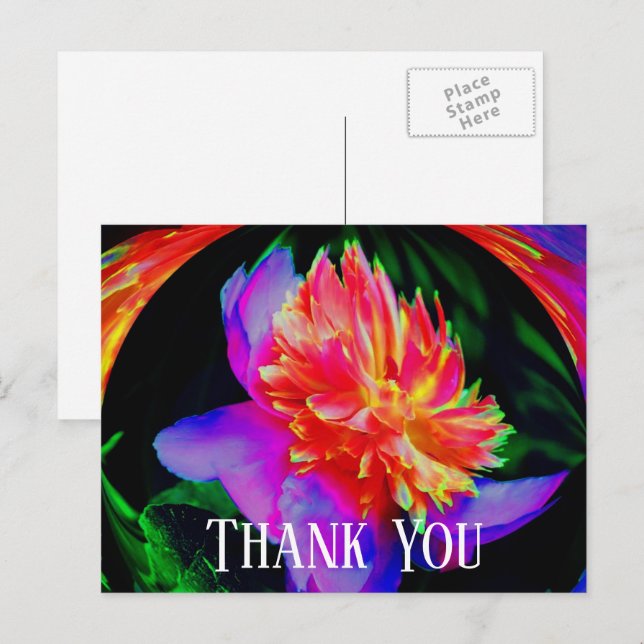 Vivid Peony Abstract Floral Thank You Postcard (Front/Back)