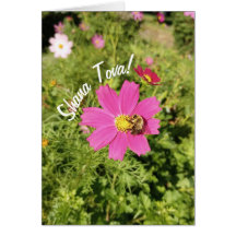 Vivid Pink Cosmos Flower Rosh Hashanah Card
