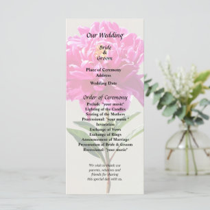 Vivid Pink Peony Program