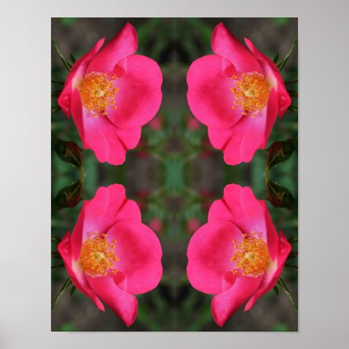 Vivid Pink Rose Petals Abstract Floral Art Poster