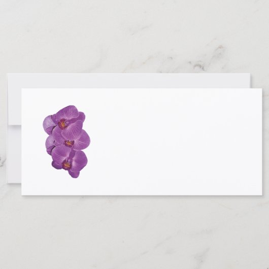 Vivid Purple Orchids (Front)