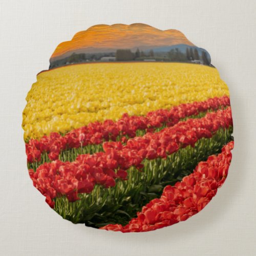 Vivid Red and Gold Tulips in Skagit County Accent  Round Pillow