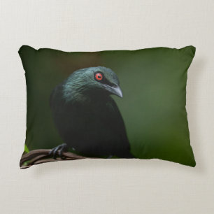 Vivid Red Eyes of the Asian Glossy Starling Accent Pillow