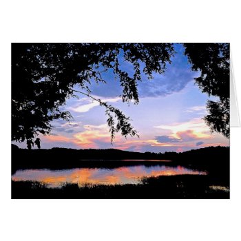 Vivid Reflections by DesireeGriffiths at Zazzle