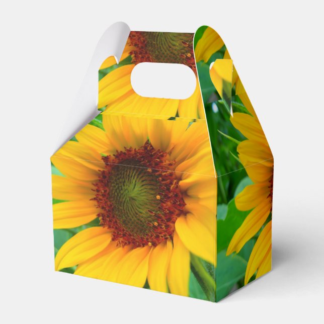 Vivid Sunflower Favor Boxes (Back Side)
