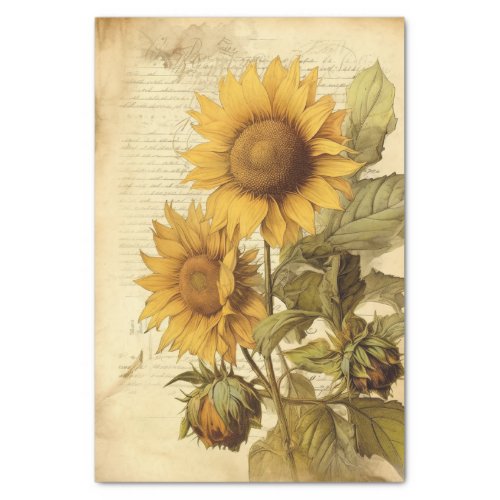 Vivid Sunflowers Winking to the Side and Script Tissue Paper