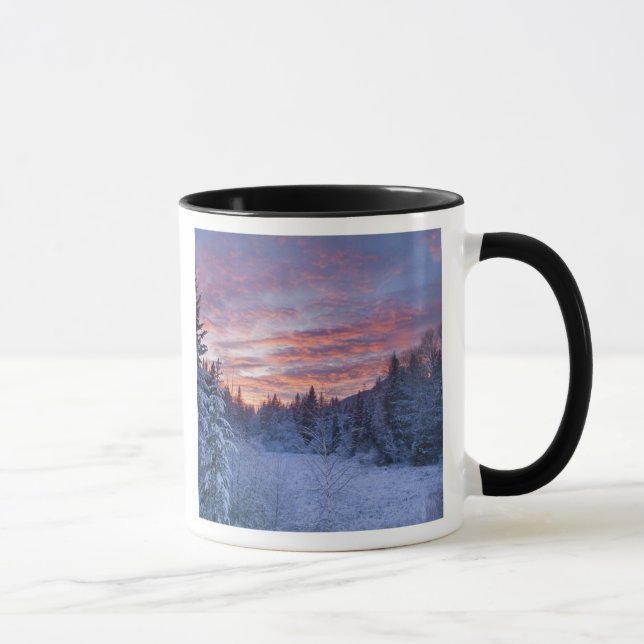 Vivid sunset paints the sky above wintery mug (Right)
