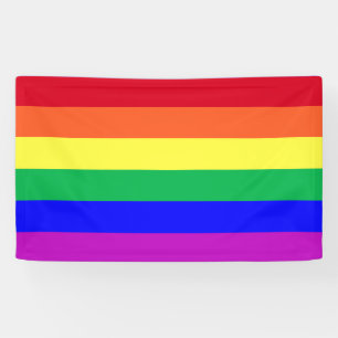 Vivid Vibrant Colorful Gay Pride Rainbow Stripes Banner