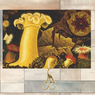 Vivid Vintage Sea Life Anemones and Coral on Black
