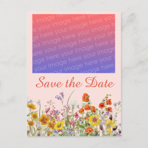 Vivid Wildflowers   Postcard