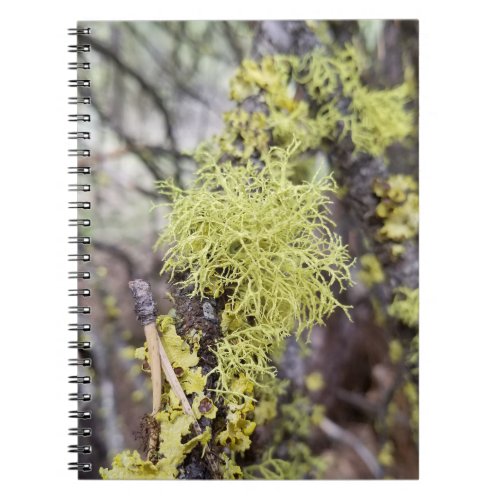 Vivid Wolf Lichen Notebook