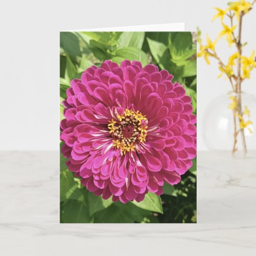 Vivid Zinnia Flower Photo Card