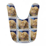 vizla-3.jpg bib