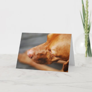 VIZSLA - blank card