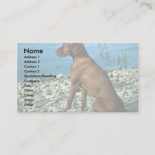 Customizable Vizsla Business Cards
