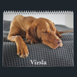 Vizsla Calendar<br><div class="desc">A Calendar with 12 different pictures of Vizsla</div>