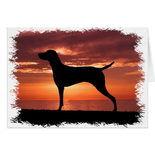 Vizsla Cards (Front Horizontal)