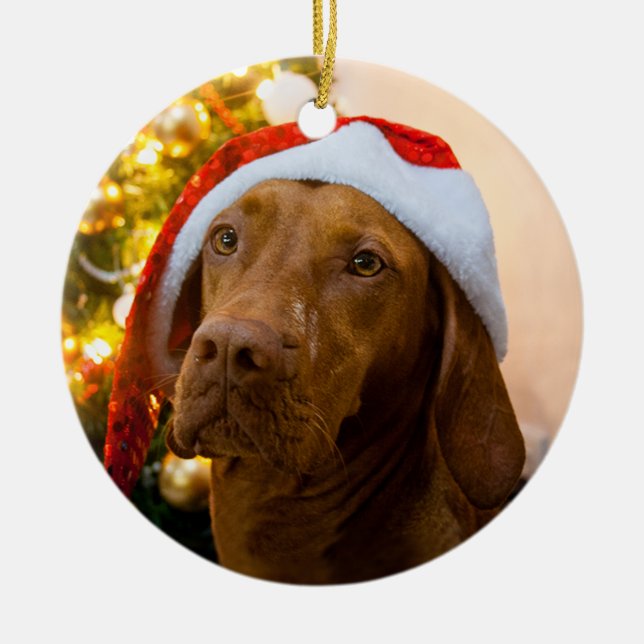Vizsla Christmas Ornament (Dolly) (Front)