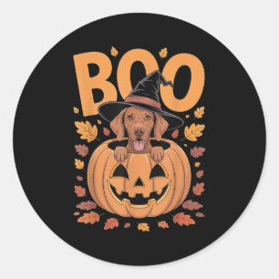 Vizsla Costume On Pumpkin Halloween Vizsla Classic Round Sticker