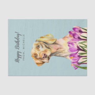 Vizsla Dog Art   Happy Birthday Tissue Paper