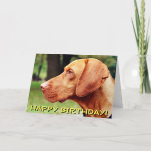 Vizsla dog card