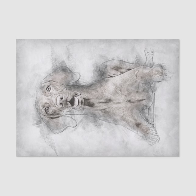 Vizsla Dog Drawing Tissue Paper (Front)
