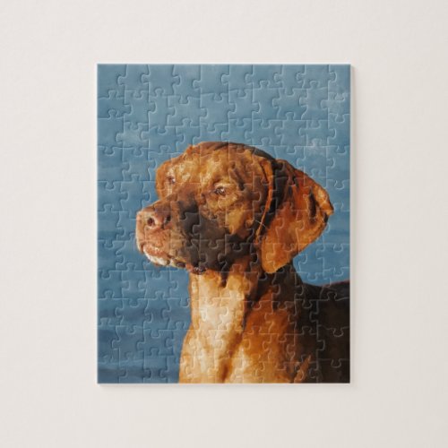 Vizsla dog _ Hungarian hound Jigsaw Puzzle