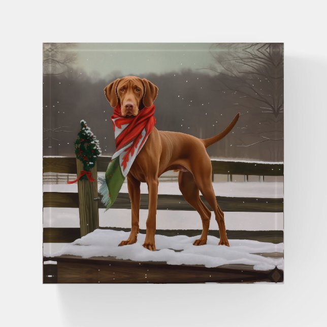 Vizsla Dog in Snow Christmas Paperweight (Front)
