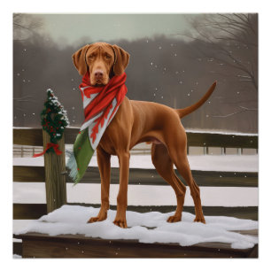Vizsla Dog in Snow Christmas Poster