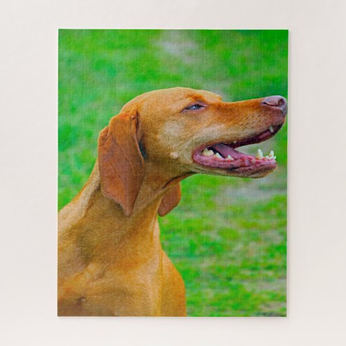 Vizsla Dog Jigsaws Jigsaw Puzzle