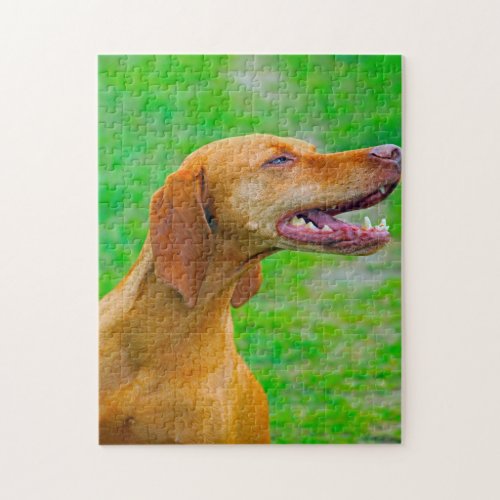 Vizsla Dog Jigsaws Jigsaw Puzzle