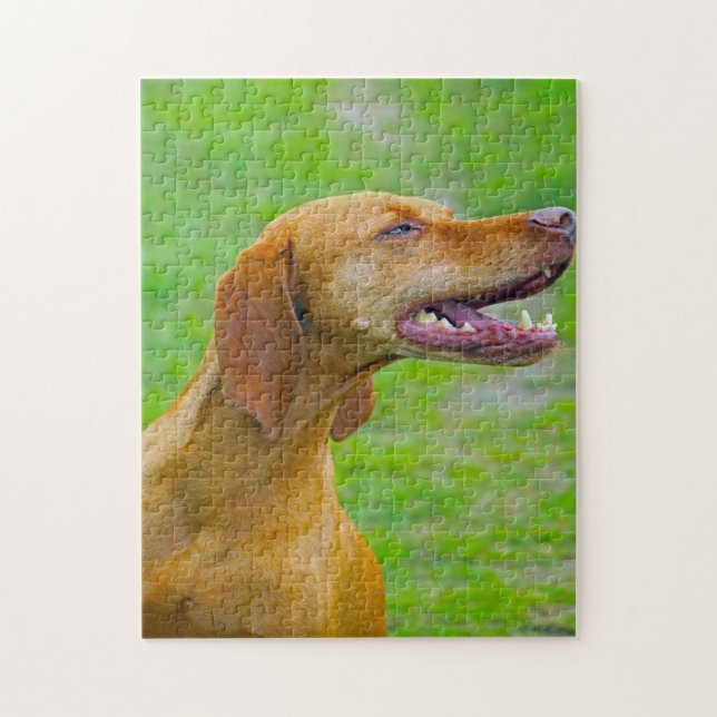 Vizsla Dog Jigsaws. Jigsaw Puzzle (Vertical)